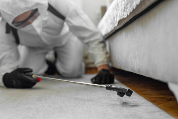 Professional Cockroach Control technician working in Salem, MA